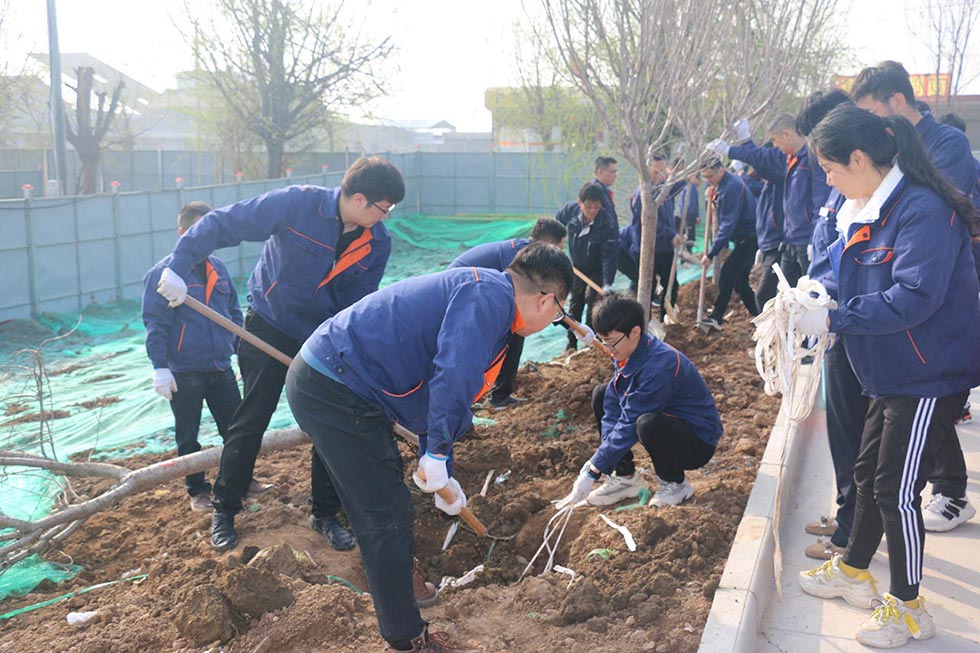 常州工廠植樹